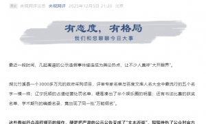 央视网评公示公告造假：别让“形式公开”啃食政府公信力