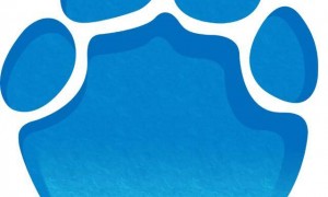 两名20多岁中国女子在日本被撞身亡，家属索赔637万元