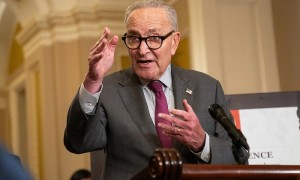 美参议院少数党领袖:政府“停摆”可能持续至11月